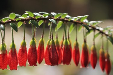 东莞石碣私人快速借钱网，轻松解决资金难题