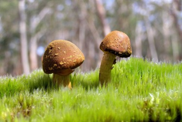 东莞石碣私人老板放款：轻松融资的秘密通道